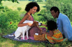 Picnic